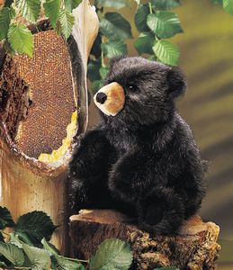 Bear, Baby Black