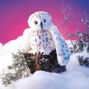 Owl, Snowy Puppet