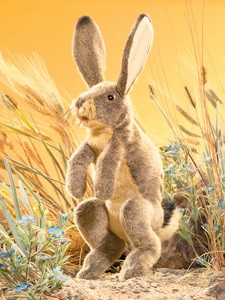 Rabbit, Jack Puppet
