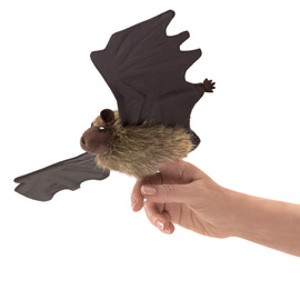 Bat, Little Brown