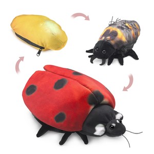 Ladybug, Life Cycle Puppet