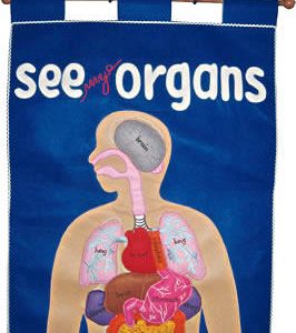 My Body Organs Wall Hanging