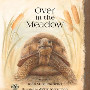 Over In the Meadow - Feierabend