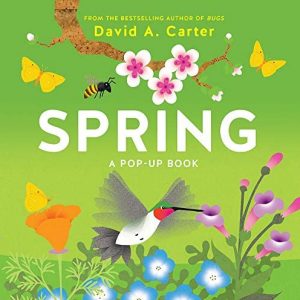 SPRING: A Pop-Up Book