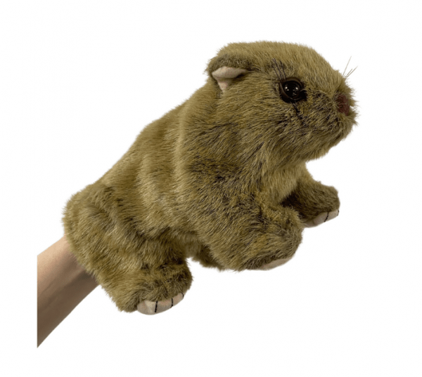 Wombat