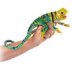 Mini Collard Lizard